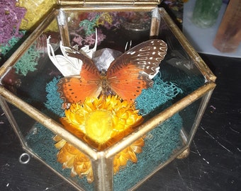 Foraged Bone Art, Vintage Glass Box, Vertebrae and Butterfly, Floral Trinket Box, Macabre Décor, Gothic Home