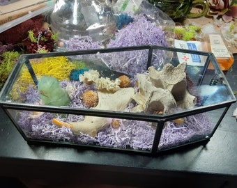 Foraged Bone Art, Glass Coffin Box, Deer Vertebrae, Macabre Décor, Beaver Jawbone, Gothic Home, Dried Florals and Gemstones