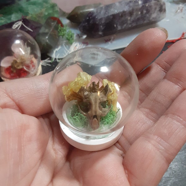Foraged Bone Art, Glass Mini Dome, Rodent Skull, Macabre Décor, Gothic Home, Dried Florals, Pagan Altar, Witchy Gift