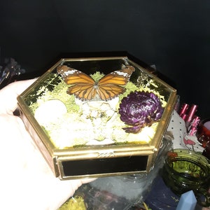 Foraged Bone Art, Vintage Glass Box, Vertebrae and Butterfly, Trinket Box, Macabre Décor, Gothic Home, Dried Florals image 4