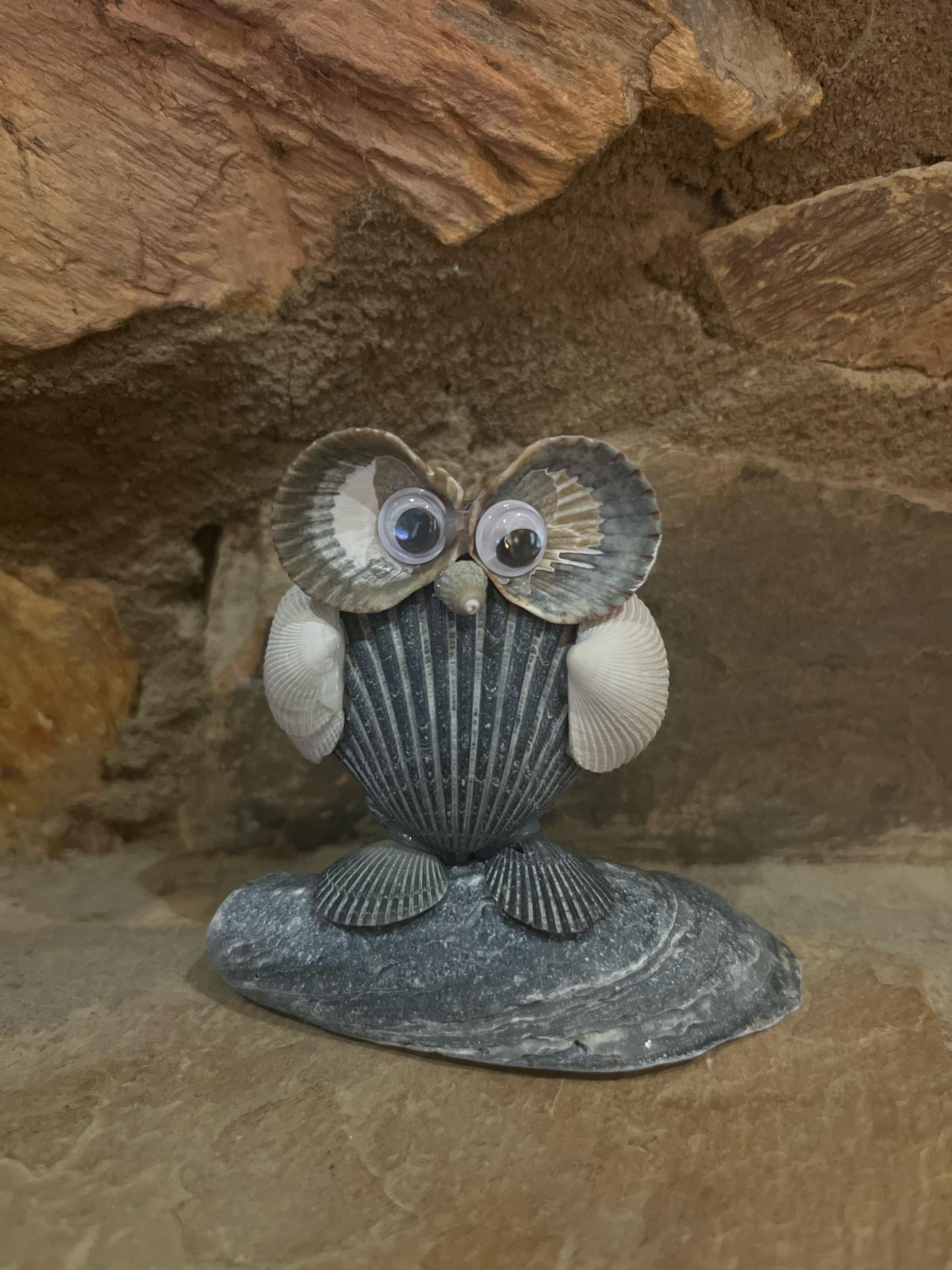 Sea Shell Owl
