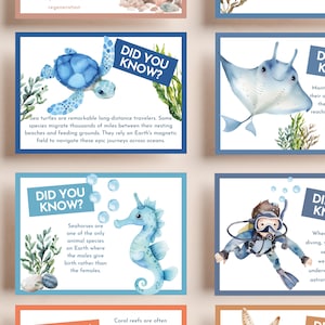 Notes de boîte à lunch pour enfants sur les animaux marins | Faits sur les créatures marines | Faits scientifiques pour les enfants | 16 cartes uniques | Cartes imprimables pour boîte à lunch