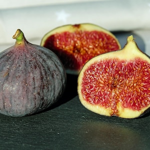 Melo835 Fikon Viola Fikon Frukt Fikon 15 Frön