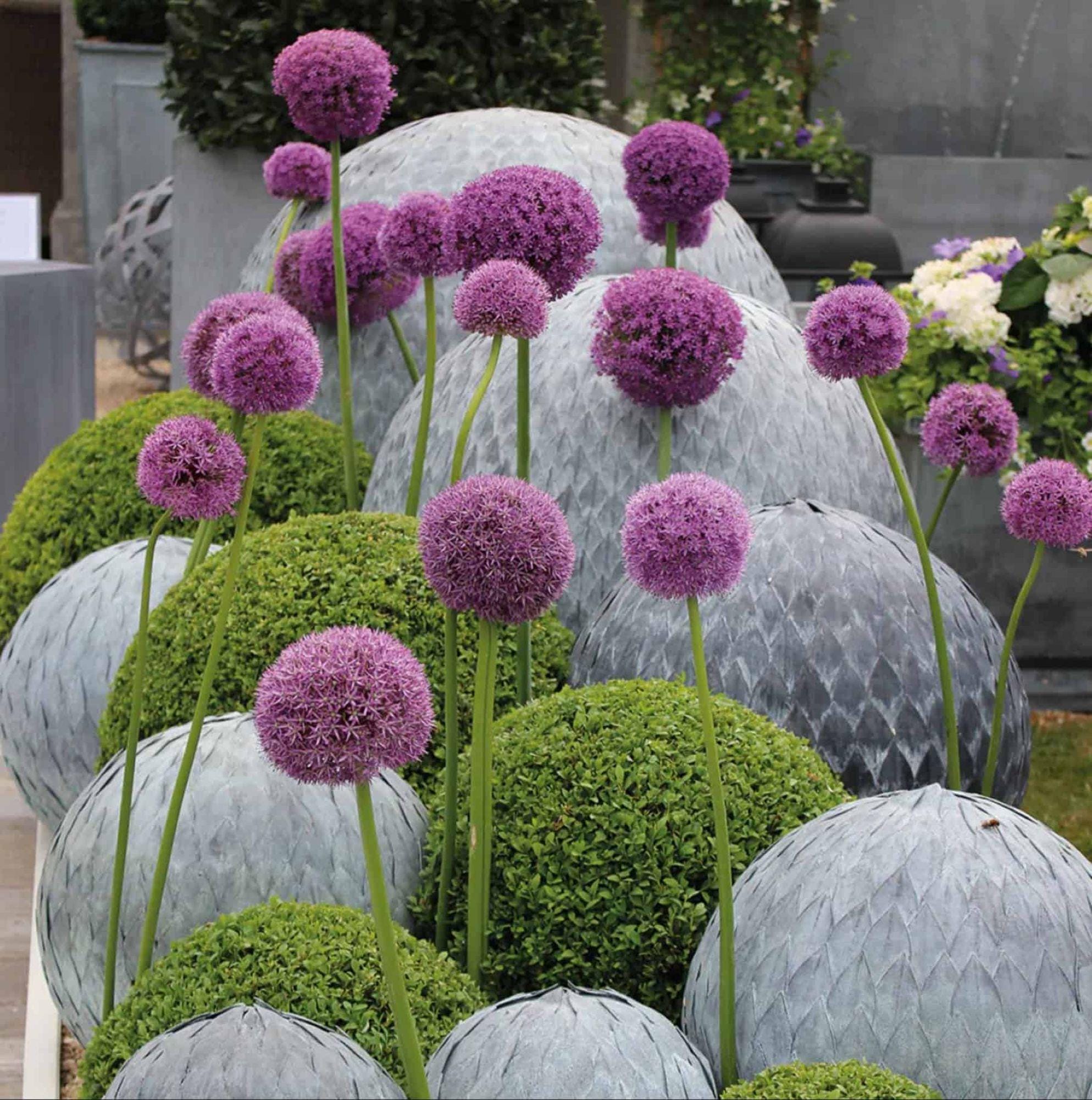 Allium Artificiale Finto Durban Bianco 70 Cm – Pianta Finta Da Decorazione Per Interni