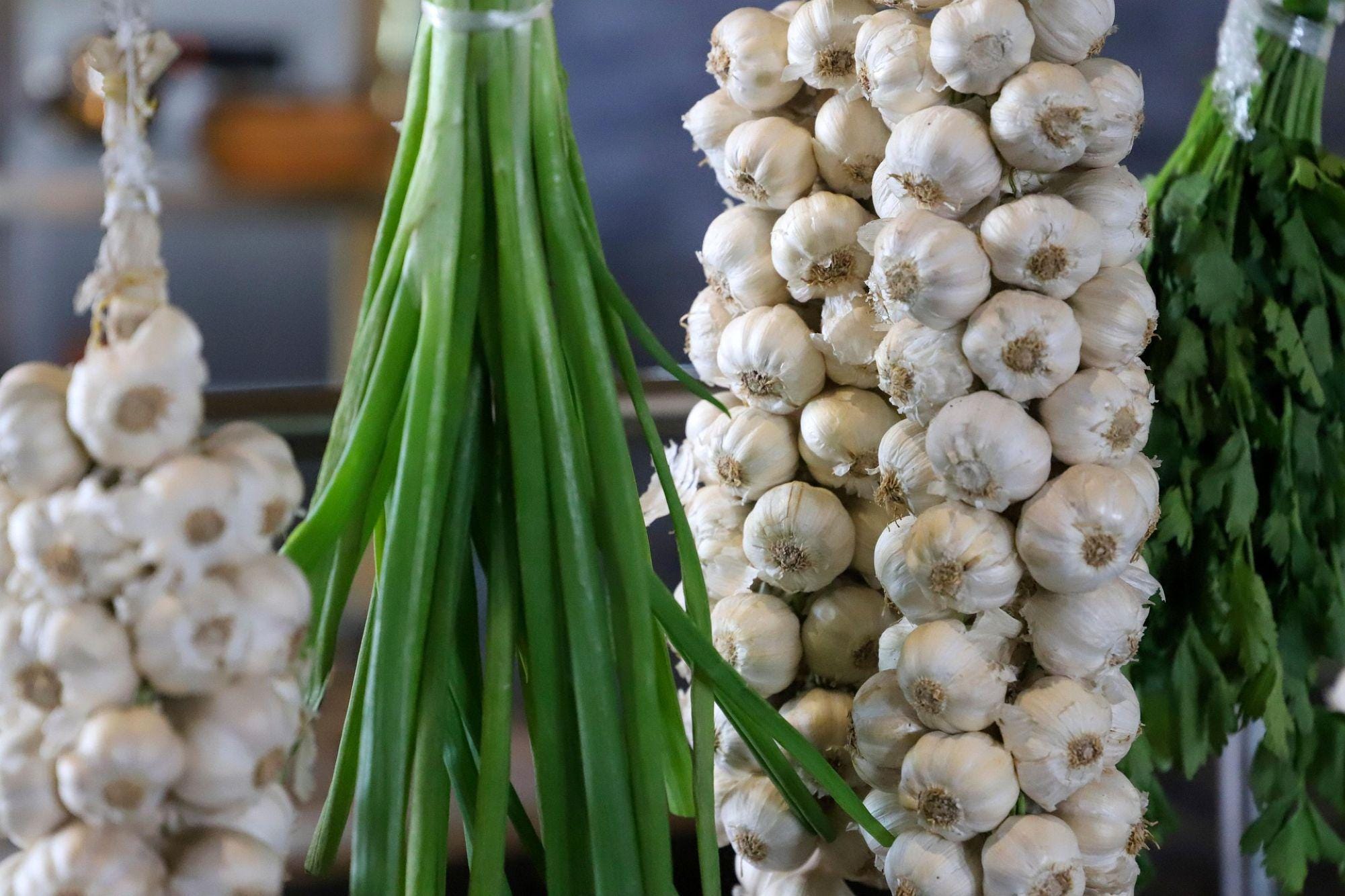 Saatgut knoblauch - Etsy sterreich