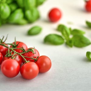 Puede incluir: Un racimo de tomates rojos en una vid con hojas verdes de albahaca en el fondo.
