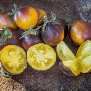 Könnte beinhalten: Eine Gruppe von Indigo- und gelben Erbstücktomaten, einige aufgeschnitten, um ihr gelbes Fruchtfleisch zu zeigen.