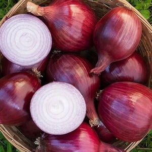 May include: A wicker basket filled with red onions, some whole and some sliced. The onions have a deep red outer skin and white and purple inner rings. The basket sits on a bed of green grass.