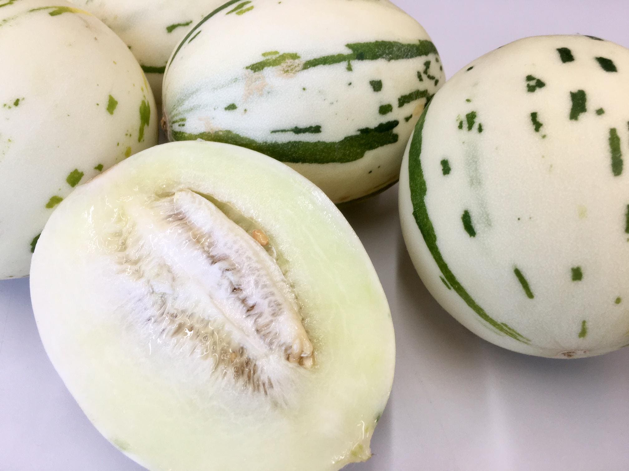 Seeds 5 Fruits Melon White Snowball Melon Dino Melo1612 melon✩‧₊˚ - Canada Etsy ぬいぐるみ