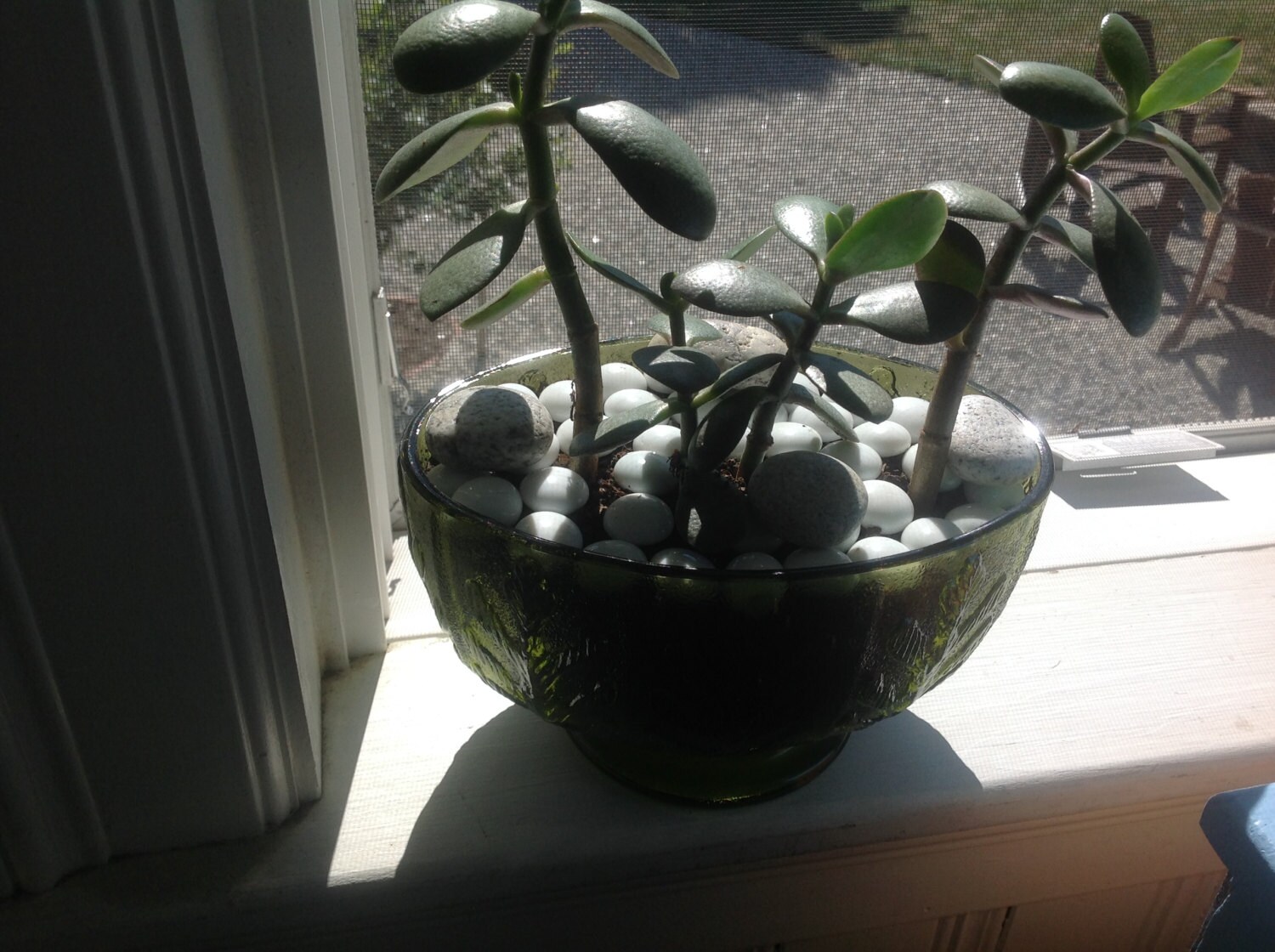 Ftd Classic Vintage Oval Planter Compote Footed Green