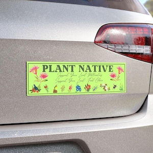 Puede incluir: Una pegatina rectangular verde para parachoques con las palabras "PLANT NATIVE" en verde oscuro. La pegatina también incluye las frases "Support Your Local Pollinators" y "Support Your Local Food Chain". La pegatina tiene ilustraciones de flores, pájaros y abejas.