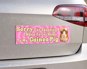 Sorry For Speeding Bumper Stickers, Guinea Pig Decal, Critters Stickers, New Driver For Girls, Guinea Pig Mom Gift, Animal Lover Car Magnet