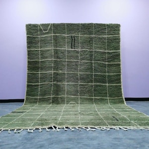 May include: A large, sage green rug with a grid pattern of white lines. The rug has a textured appearance and a fringe along the bottom edge. Two vertical black lines are near the top center.