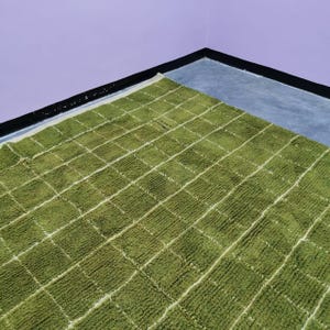 May include: A green rug with a grid pattern of white lines. The rug has a textured surface and is made of a soft material. The rug is rectangular and appears to be handmade. The rug is placed on a gray surface.