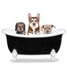 Portrait of your Animal Family in the Tub! Personalized Cats & Dogs or any animal in a Bathtub. Pastel Version. Artist Rachel Baum 