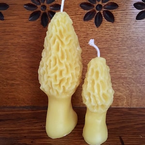Beeswax Morel Mushroom Candle Set of 2