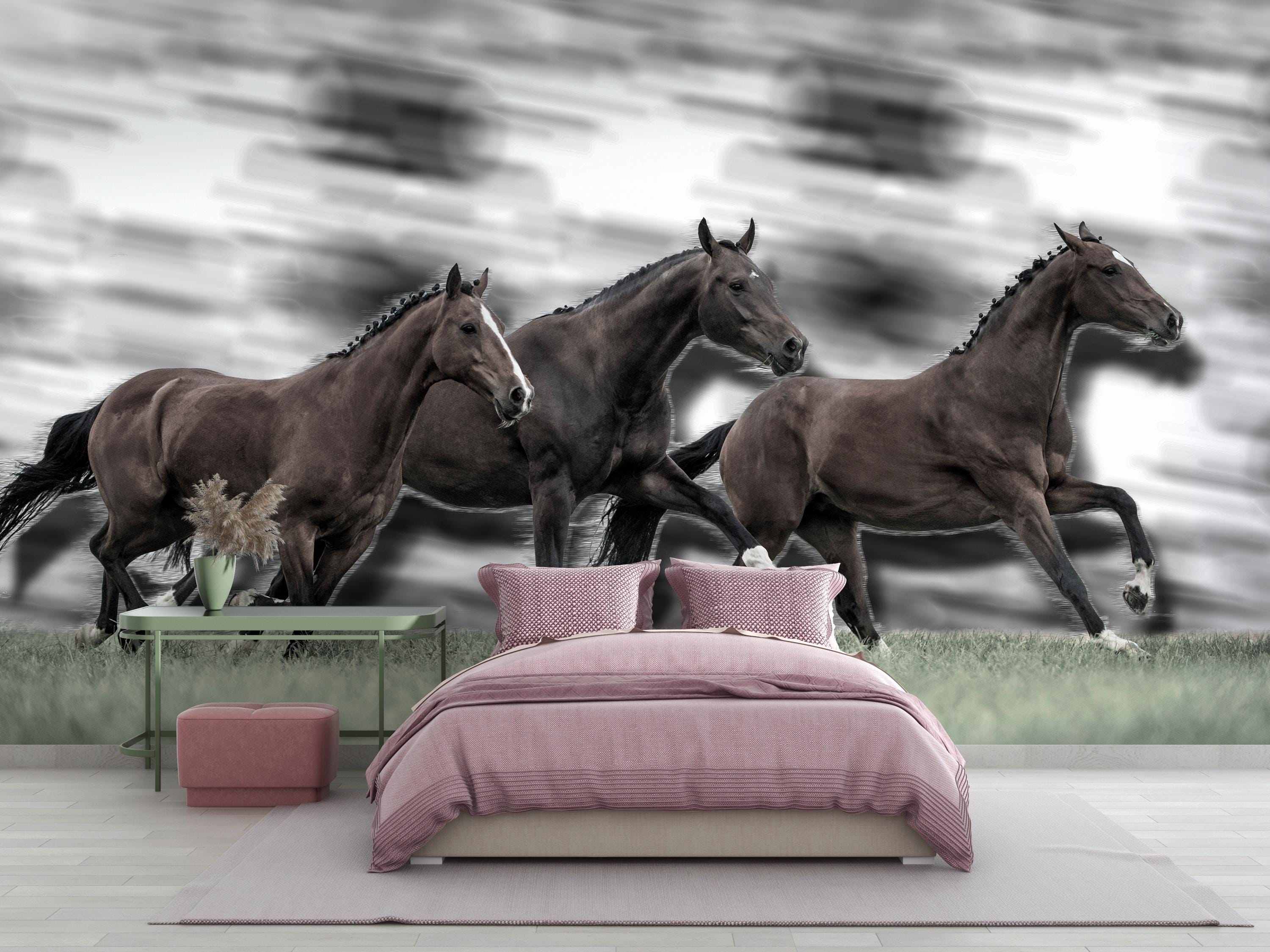 Horses Wallpaper for Living Room Horse Wallpaper Black Horses Bedroom ...