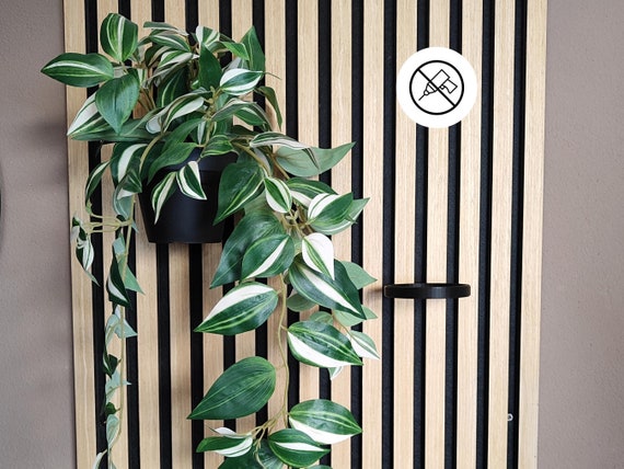 Plant Holder Ring for Acoustic Panels | Installation Without Drilling |  Compatible With IKEA Fejka Potted Plant - Etsy