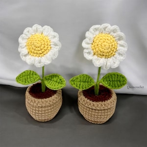Crochet Daisy pot,mother day gifts,crochet Daisy, crochet flower in pot, gift for mom, room decoration, handmade sunflower, gift for her