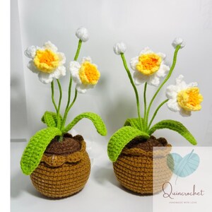 Crochet Daffodils,Handcrafted Crochet Daffodils,Handmade knitted Flowers, Crocheted Flowers, Daffodils Flowers, Home Decor, Flowers Gift