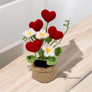 crochet heart,crochet heart plant,crochet plant pot, housewarming gift, desk decoration,handmade flower,gift for mom,mother&#39;s day gift