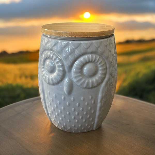 Now Designs Grey Ceramic OWL Canister with Wooden Lid & Rubber Seal