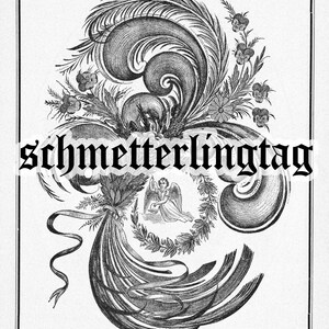 May include: A black and white illustration of a decorative design with a cherub in the center. The design features a large, swirling, feather-like shape with a ribbon and flowers. The text "schmetterlingstag" is written in bold, black letters at the top of the image.