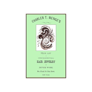 1873 Victorian Hair Work DOWNLOADABLE PDF Buch Schmuck Designs 716 Civil War Ära Hairwork Katalog DOWNLOAD Mementos Hairwork Art Pallete