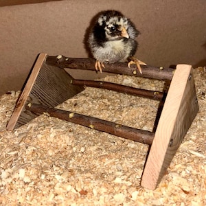 Baby Chick Perch Roost Toy Play Happy Birds Chick Roosting Perch – Wooden Chick Stand - Chicks Brooder Perch - Comes Assembled - Small Large