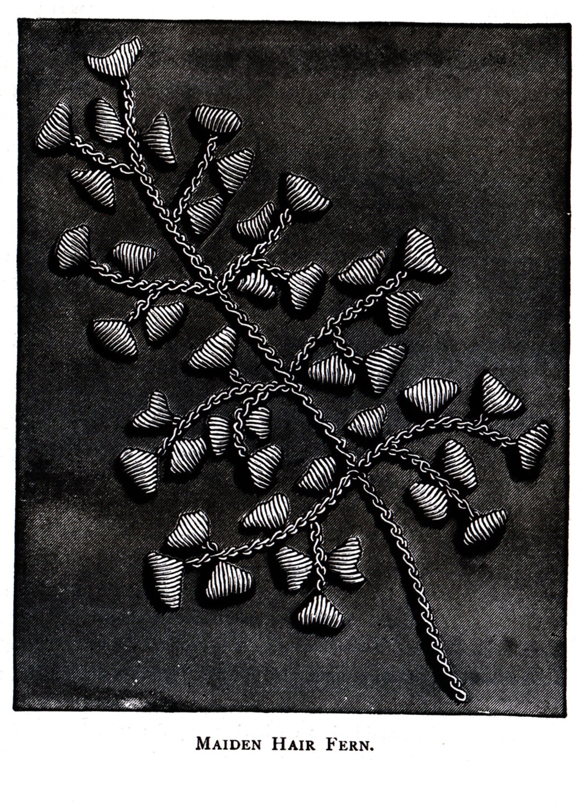 Victorian Mountmellick Embroidery Stitches Book 1886 DIY Etsy