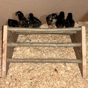 Baby Chick Perch Roost Toy Play Happy Birds Chick Roosting Perch – Wooden Chick Stand - Chicks Brooder Perch - Comes Assembled - Large Small