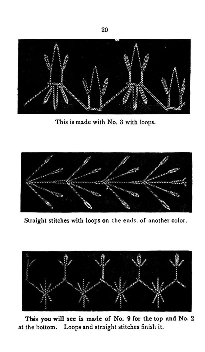 1884 Victorian Crazy Quilt Embroidery Stitches Book Quilts 95 Quilting Designs DakotaPrairieTreasures image 3