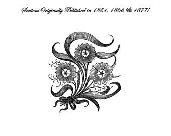 Victorian Hair Work Book Hairwork Mourning Jewelry PDF DOWNLOAD 1851 Palette Lockets Bracelets Wreath Flowers Star Cross Butterfly Roses