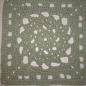 AUTUMN COLLECTION.............SAGE 12 Inch Square Crochet Pattern image 1