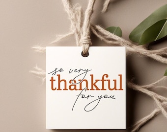 May include: A white gift tag with a brown string attached. The tag has the text "so very thankful for you" written in black and brown ink.