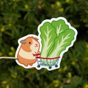Pegatinas de lechuga con forma de conejillo de indias para comprar/pegatinas para computadora portátil/pegatinas troqueladas/pegatinas para botellas de agua/impermeables