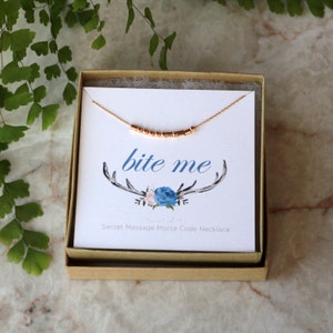 BITE ME Morse Code Necklace, Secret Message Jewelry, Funny Gift for Her, Sterling Silver or Gold Filled Beads and Chain