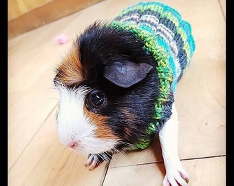 Easy Knit Guinea Pig Sweater Pattern