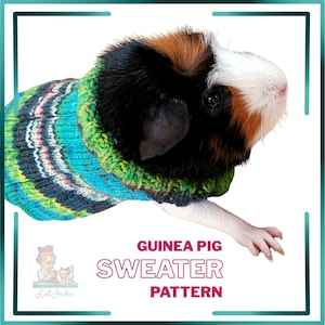May include: A guinea pig wearing a hand-knitted sweater with a striped pattern in blue, green, and grey. The text "GUINEA PIG SWEATER PATTERN" is displayed below the guinea pig. The sweater is designed to keep the guinea pig warm.