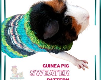 Guinea Pig Sweater Knitting Pattern | Easy Pet Sweater PDF | Small Animal Knit Pattern Instant Download