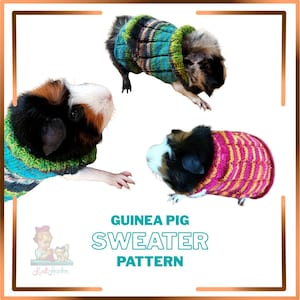 Easy Knit Guinea Pig Sweater Pattern