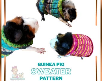 Guinea Pig Sweater Knitting Pattern | Easy Pet Sweater PDF | Small Animal Knit Pattern Instant Download