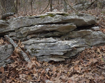 Box'o'Rocks Organic Natural Ozark Mini Flagstones Moss Lichen Rocks Stepping Stones Arts  Crafts Multimedia Tiles Fairy Gardens Habitat (07)