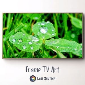 Samsung Frame TV Art | Spring Flowers Frame TV Art | Floral Print | Spring Wall Decor | TV Art | Digital Download Screensaver | Screen Art