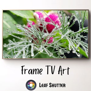 Samsung Frame TV Art | Botanical Springtime Art | Nature Print | Spring Wall Decor | TV Art | Digital Download Screensaver | Screen Art