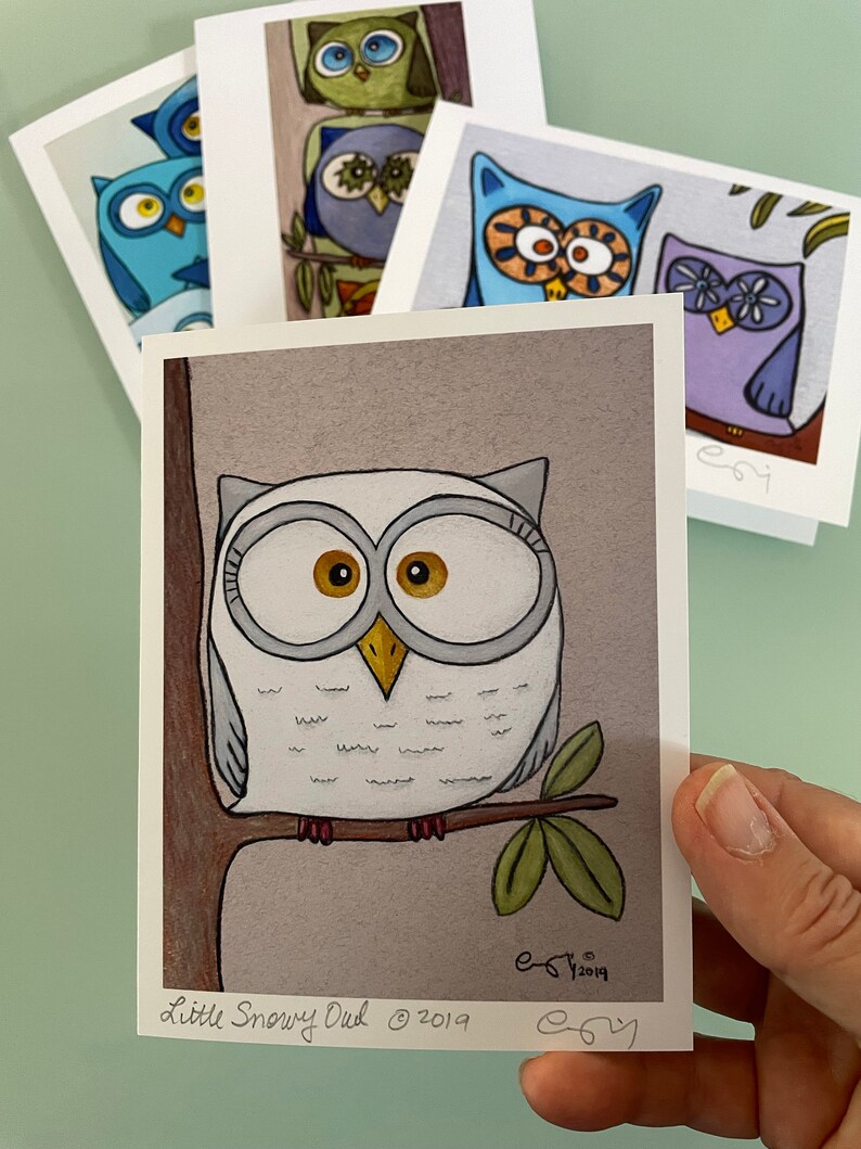 Cute Owl Cards Set, Boxed Owl Note Cards, Art Notecards, Gifts for Bird Lover, Gifts for Teachers, Gift Under 30, Colorful Owl Art Cards Set image 4