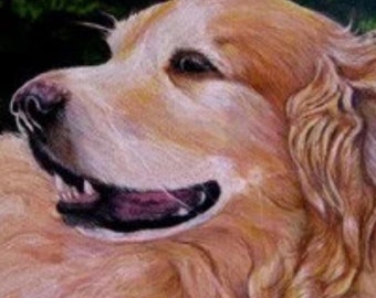 Golden Retriever Portrait Drawing, by artist Robin Zebley, Colored Pencil on Paper, Matted