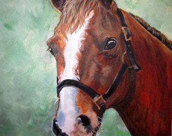 Custom Horse Portrait Painting, Oil Paint on Canvas, from your Photos, 16 x 20", Equine Art by Robin Zebley