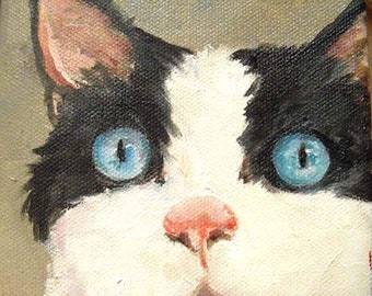 Oil Painting Tuxedo Cat Art Painted to Order for you by Robin Zebley 5" x 7"