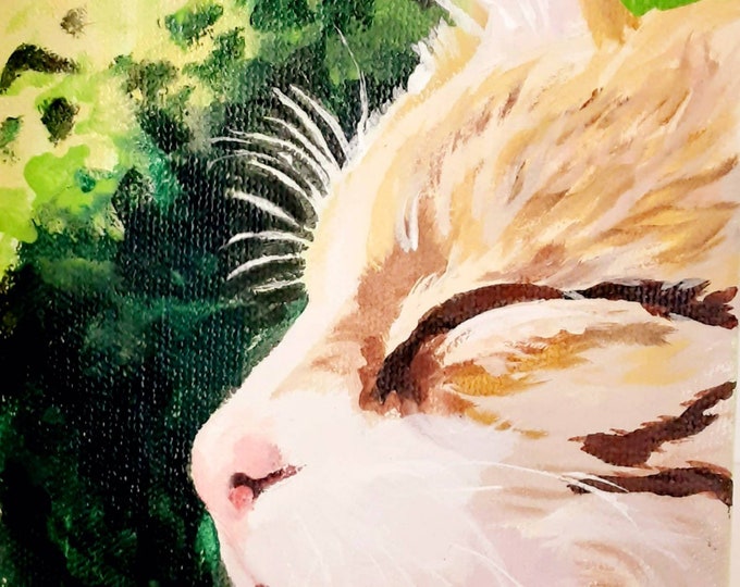 Sunshine cat Original Oil Painting by Robin Zebley 5" x 7" Paint to Order